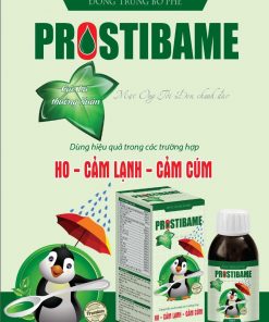 Siro Đông trùng bổ phế Protibame