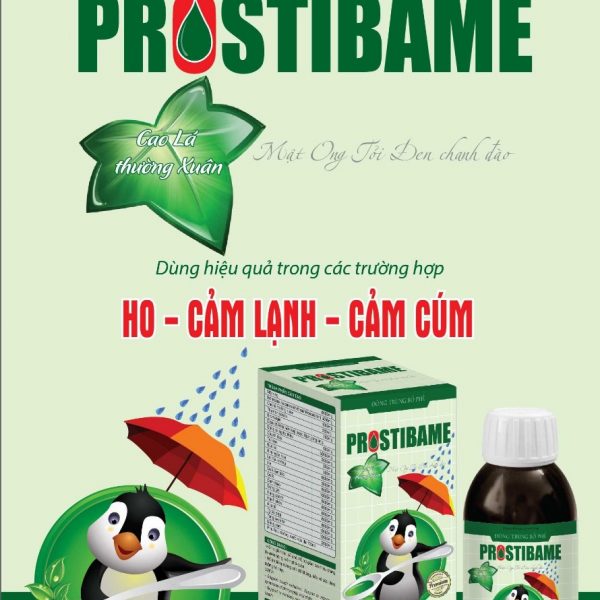 Siro Đông trùng bổ phế Protibame