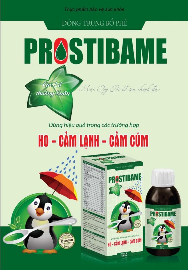 Siro Đông trùng bổ phế Protibame